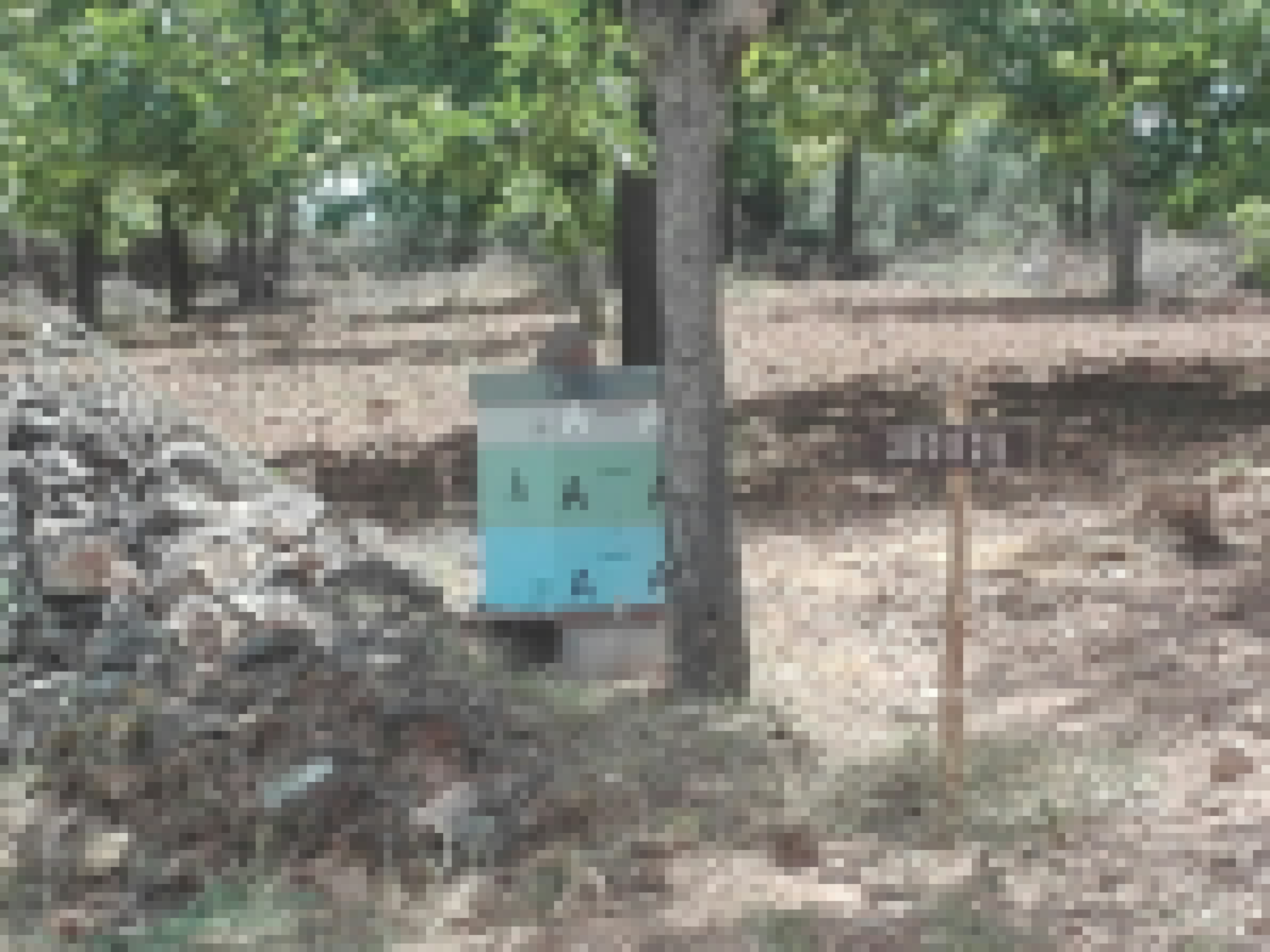 IMG_20240622_144534_resized_20251217_022756967